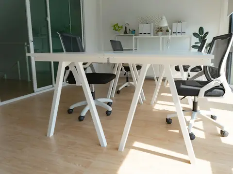 White desks with black mesh office chairs in a small sunlit office, with file boxes and plants on a shelf behind